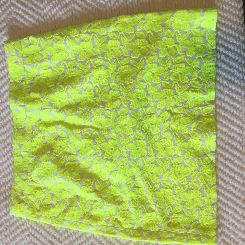 J Crew Skirt